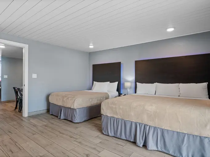 Renovated One-Bedroom Suite
